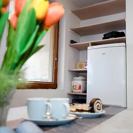 Apartment Ivka
